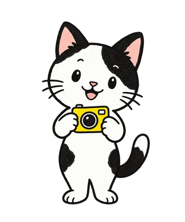 拿着黄色相机的小猫